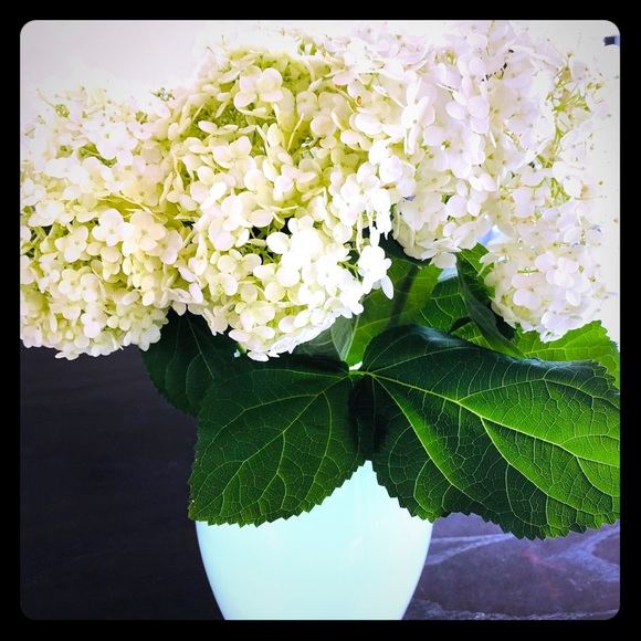 Meet your Posher, Terumi - Picture 2 of 2